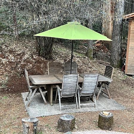 A Lovely Cabin House At Way Woods Retreat With Outdoor Hot Tub! - By Sacred Hub Mgmt Foresthill Exteriér fotografie